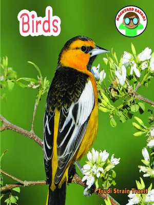 cover image of Birds